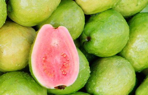 guava是什么水果的相关图片